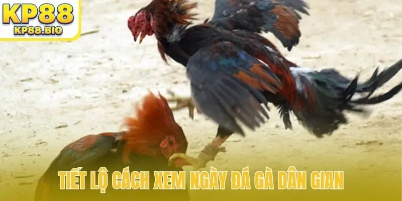 Tiết lộ cách xem ngày đá gà dân gian